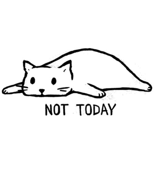 20191016_qwertee_not-today_1507065147.large.jpg